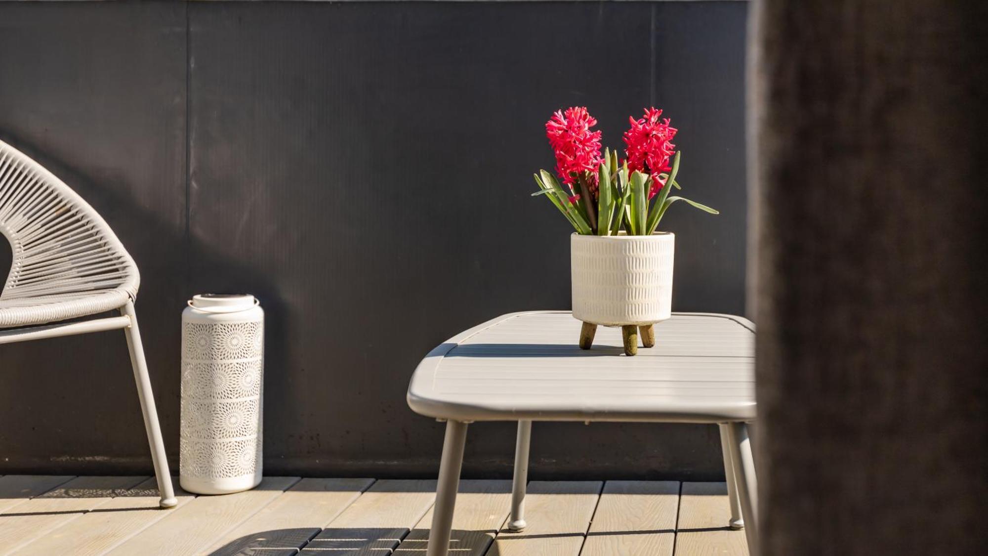 Tucked Away - Seaside Home In Anstruther Sleeps 6 エクステリア 写真