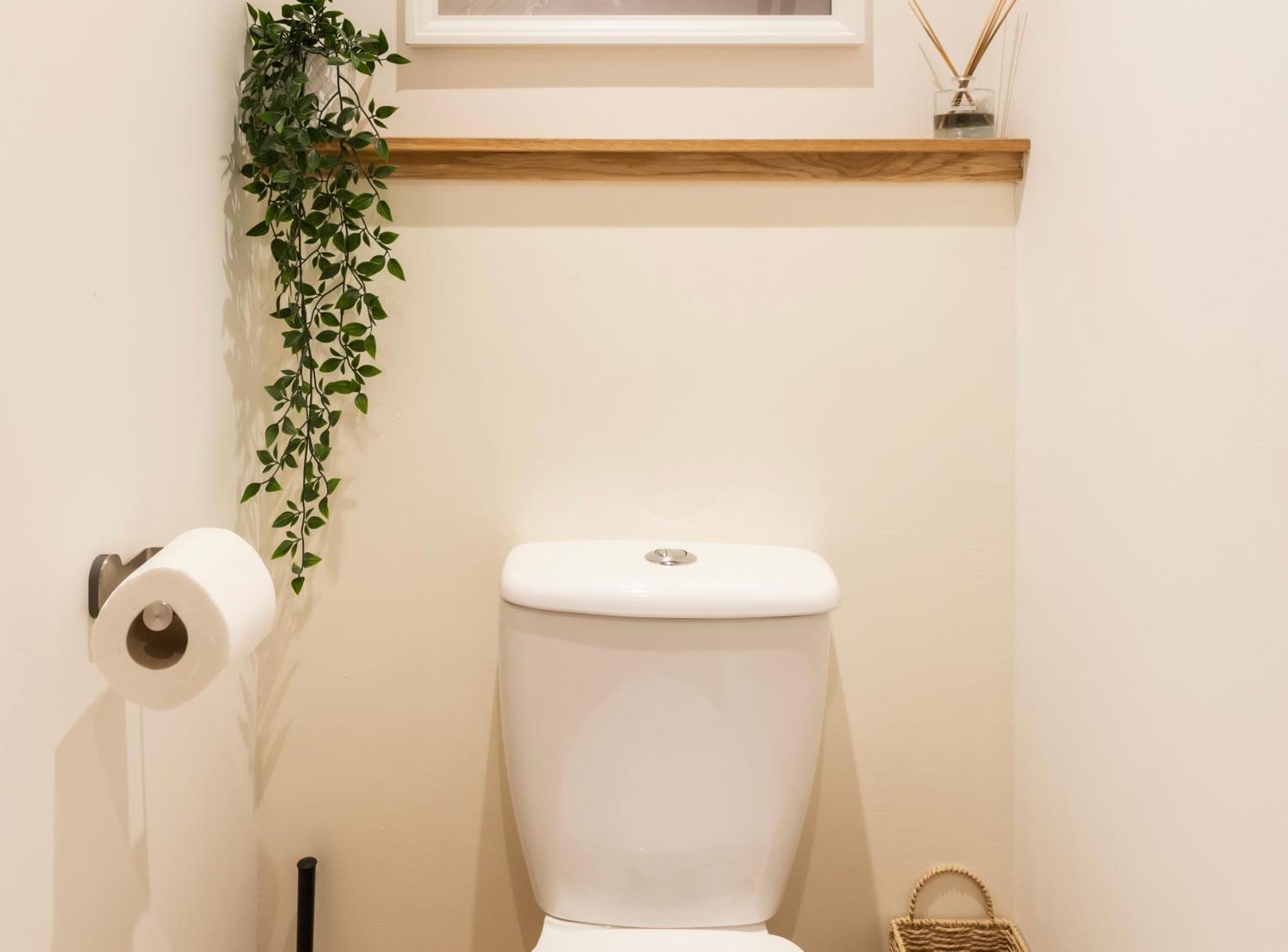 Tucked Away - Seaside Home In Anstruther Sleeps 6 エクステリア 写真